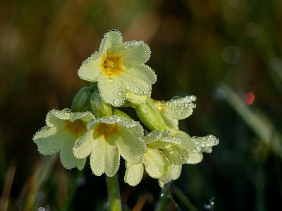 Brrr...je mi zima...