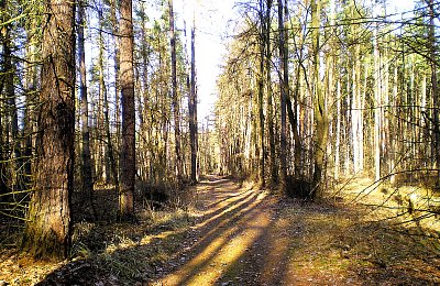 Na kole, se sluncem v zádech