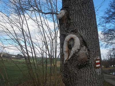 stromy