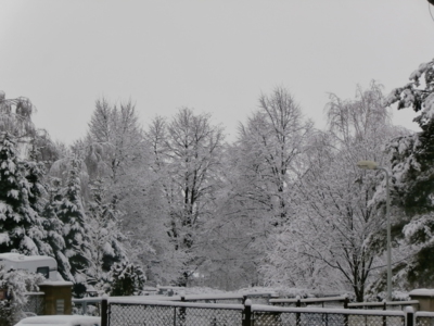 Teď královnou jsem já....