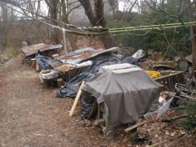 Že by jarní zátiší