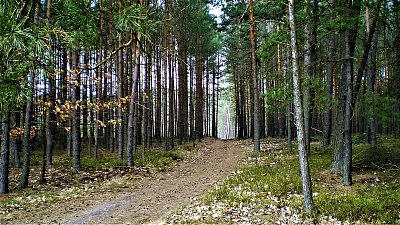 Tak do toho šlápni...  *