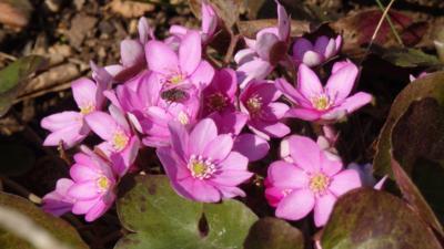 Také si ráda zobnu..