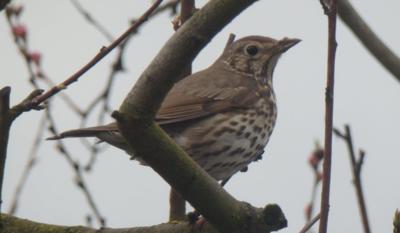 Máte mě tady,jdu obědvat