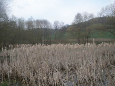 Copak nám to tady roste?