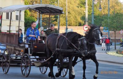 Pro hosty v lázeňském Sárváru,Maďarsko