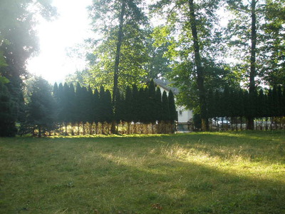 Prozářené sluncem