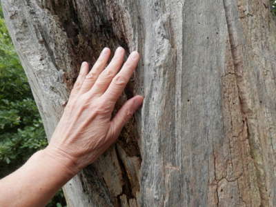 Už něco pamatujeme