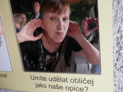 Pěkný den s úsměvem! V ZOO Hluboká