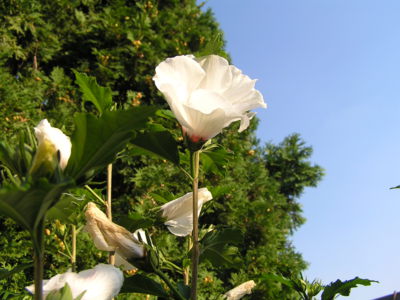 .Krčím se v koutě