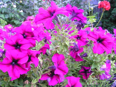 Po našem - gramofónky.