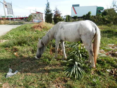 Já zůstávám v klidu
