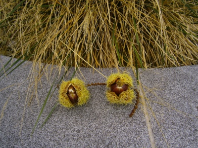 Řekni mi kam jsme to jenom spadli.......