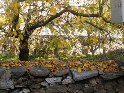 Nostalgie podzimní.