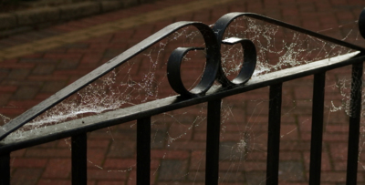 Malování "Babího léta"