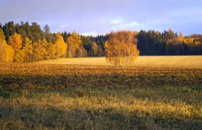 Sluníčkový podzimní den