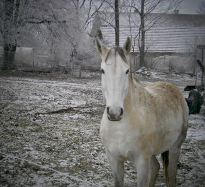 Jurášku čekáš na Popelku?????