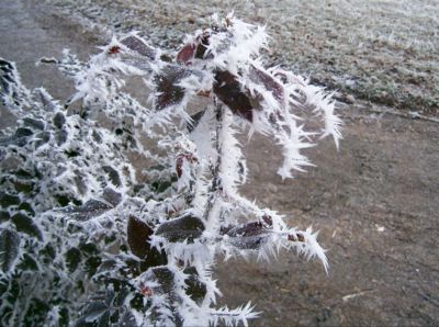 Kájí, Kájí....Sněhová královna stále čeká, čeká......