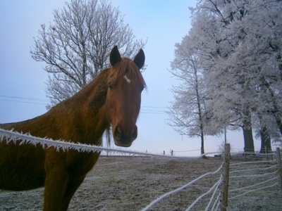 Jsem smutný čekám na jaro....