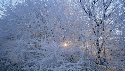 Už jsem se probudilo.....
