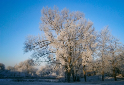 Zimní pohoda u rybníka...