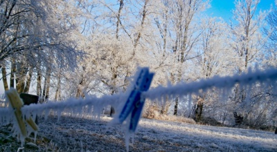 Myslíš, že na nás zapomněli…