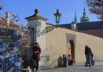 Jdeme na výstavu Předjaří v Královském skleníku