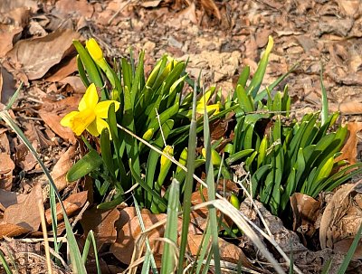 Sluníčko nás hřeje