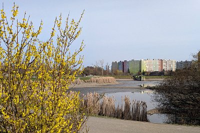 Rybník je vypuštěný