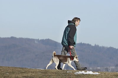 Parťáci