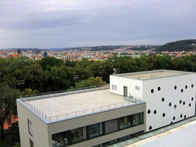 NZM 30
