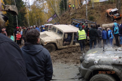 Pístovské mokřady