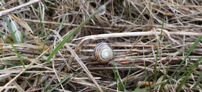 Zkusím se trochu protáhnout .