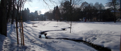 V parku jsou hadi zimní