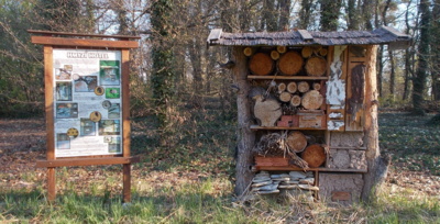 Hotel v zámeckém parku