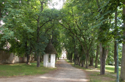 Račte vstoupit
