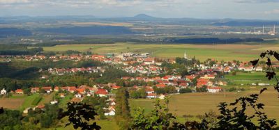 Podřipsko hlásí - ozimy vzcházejí