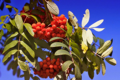 Podzim se už zase blíží