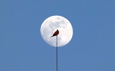 O tom, jak najít fotografické štěstí kolem komína