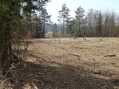 Příprava liniové stavby...