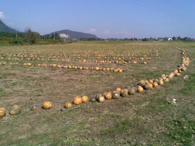 příprava na Halloween