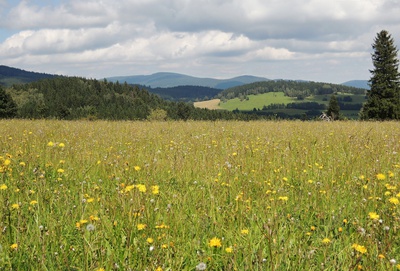 Přírodní rezervace Filipovické louky - Jeseníky
