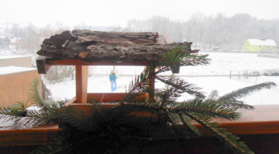 První ptáček v krmítku