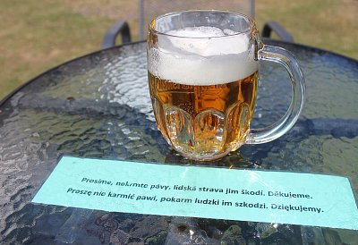 Plzeň a prosba