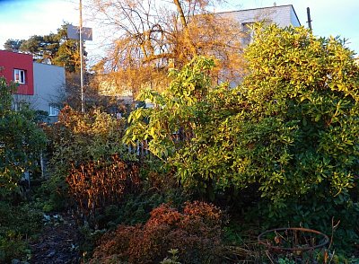 Ranní osvětlení...