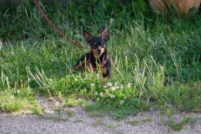 Kde je ta snídaně?