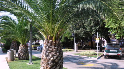 Z jiného soudku, sněhu a mrazu bylo dost