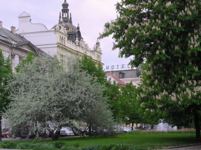 Park mého dětství a mládí