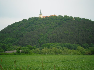 Až se zase zazelená Zelená Hora