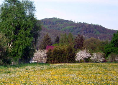 Jarní malování